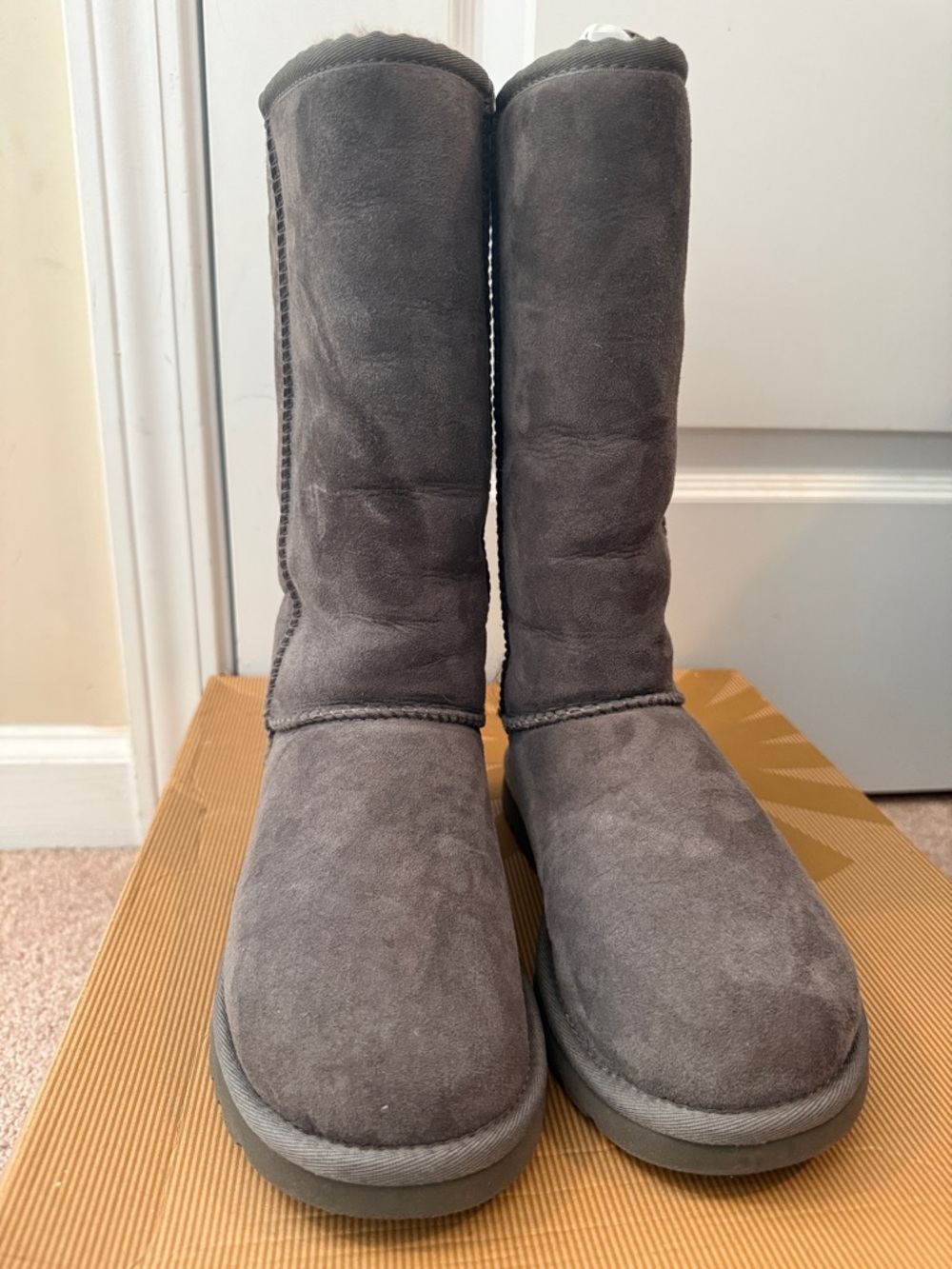 UGG Tall Suede Boots in Grey